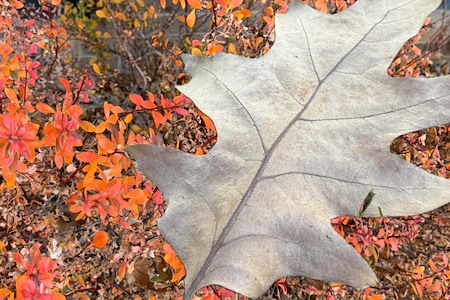 How to Lower Your Energy Bills in the Fall