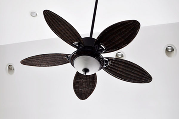 Ceiling fans vs lights